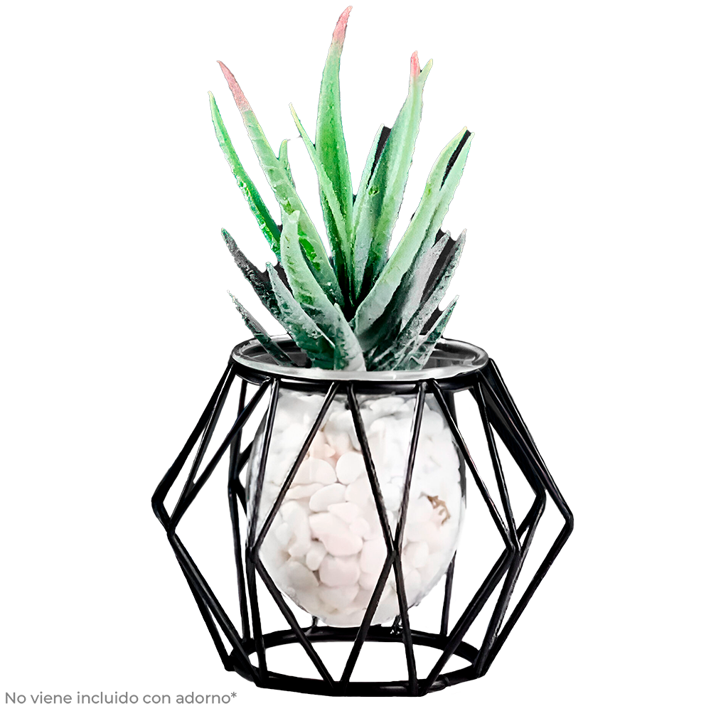 Macetero Nórdico Florero para Decoración del Hogar Minimalista